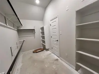 New construction Single-Family house 14309 Duckworth Trce, Manor, TX 78653 plan Palm - image