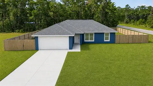 New construction Single-Family house 138 Fisher Run, Ocklawaha, FL 32179 - image