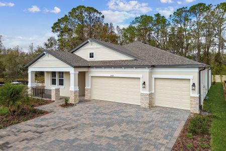 New construction Single-Family house 20219 Oriana Loop, Land O' Lakes, FL 34638 Corina  III- photo 106 106