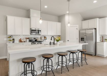 Austin's Colony by Avonley Homes in Bryan - image 3
