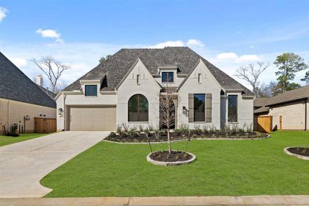 New construction Single-Family house 226 Wooded Rill Ct, Willis, TX 77318 274 Plan- photo 0