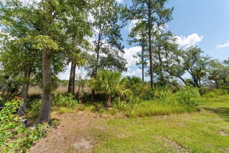 New construction Single-Family house 465 Lesesne Street, Charleston, SC 29492 - photo 36 36