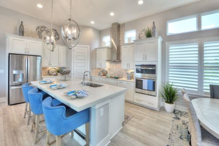 Persimmon Park by ICI Homes in Wesley Chapel - photo 23 23