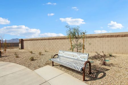 New construction Single-Family house 4513 S 95Th Dr, Tolleson, AZ 85353 Lilac- photo 36 36