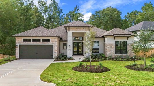 New construction Single-Family house 209 Lilac Tree Ct, Willis, TX 77318 - image