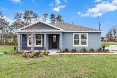 New construction Single-Family house 10512 Sw 49Th Avenue Rd, Ocala, FL 34476 null- photo 0