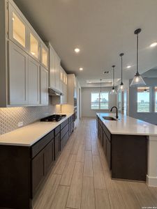 New construction Single-Family house 164 Pradera Ridge Dr, Floresville, TX 78114 - image 4