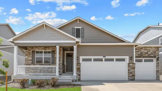 New construction Single-Family house 5828 Tulim Ln, Windsor, CO 80528 plan CHATHAM - image