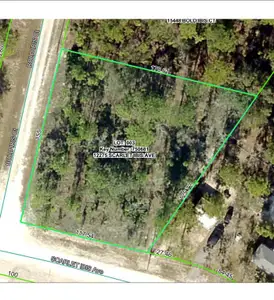 New construction Single-Family house 12275 Scarlet Ibis Ave, Weeki Wachee, FL 34614 plan 2265 - image 19