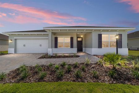 New construction Single-Family house 9865 Sw 105Th Ct, Ocala, FL 34481 plan Ariana - image