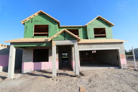 New construction Single-Family house 3324 Fall Harvest Dr, Zephyrhills, FL 33540 Salinas- photo 13 13