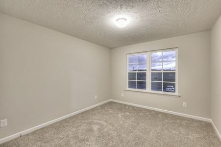 New construction Single-Family house 44 N Fork Branch Rd, Tullahoma, TN 37388 - image 12