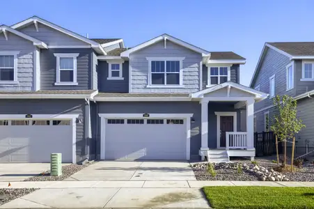 New construction Single-Family house 1968 Crested Lark St, Fort Collins, CO 80528 plan Plateau - image