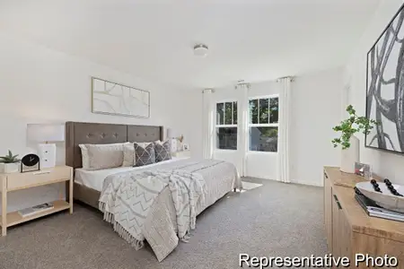 New construction Single-Family house 312 Jubilee Wy, Pageland, SC 29728 plan The Reeves - image