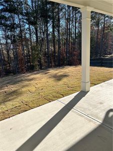 New construction Single-Family house 13 Primrose Dr, Dallas, GA 30132 Primrose- photo 16 16