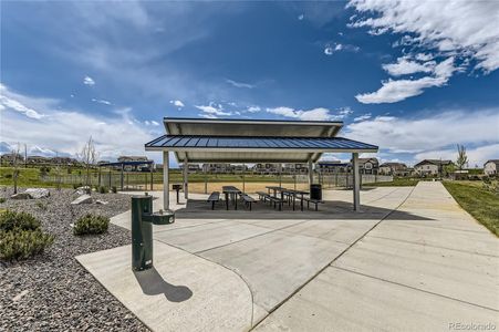 New construction Single-Family house 17376 Rose Mallow St, Parker, CO 80134 null- photo 25 25