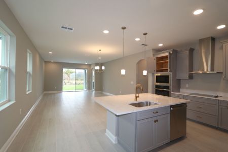 New construction Single-Family house 31229 Denham Ridge Ln, Wesley Chapel, FL 33545 Newport II- photo 95 95