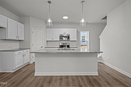 New construction Single-Family house 690 Huskuth Rd, Youngsville, NC 27596 - image 5