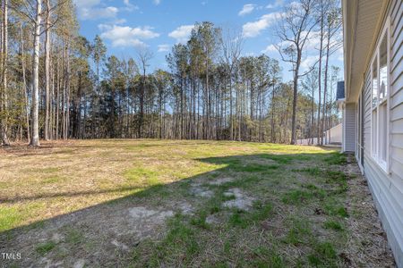 New construction Single-Family house 153 Wilderness Trl, Smithfield, NC 27577 null- photo 28 28