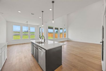 New construction Single-Family house 4105 Gail Ln, Providence Village, TX 76227 plan Dakota - image 10