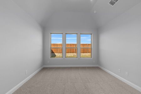 New construction Single-Family house 4424 Blue Mist Dr, Fort Worth, TX 76036 plan Delta - image 19