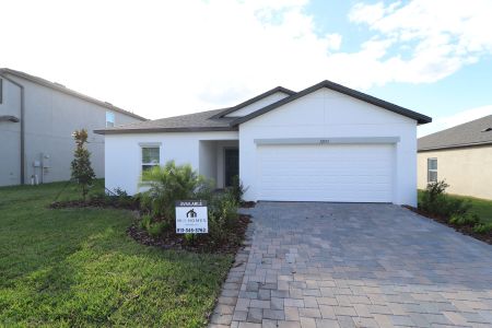 New construction Single-Family house 12193 Hilltop Farms Dr, Dade City, FL 33525 Sentinel- photo 68 68