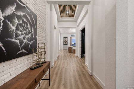 New construction Single-Family house 527 Corwin Spgs, Cibolo, TX 78108 plan Adelaide - image 4