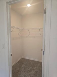 Delaney Reserve by Hartizen Homes in Deland - photo 37 37