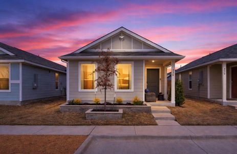 New construction Single-Family house 236 Jethro Ln, Princeton, TX 75407 - image