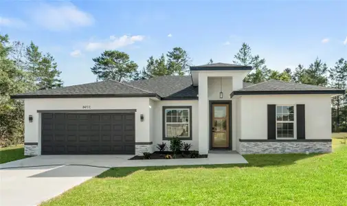 New construction Single-Family house 8050 N Pickinz Wy, Citrus Springs, FL 34433 null- photo 0