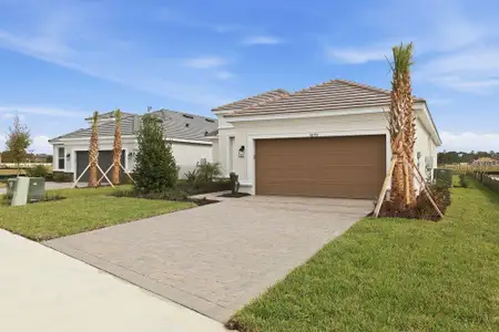 New construction Single-Family house 3890 Figliolia Wy, Wesley Chapel, FL 33543 plan Farnese - image