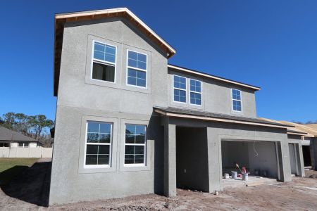 New construction Single-Family house 20050 Oriana Loop, Land O' Lakes, FL 34638 Santa Monica- photo 92 92