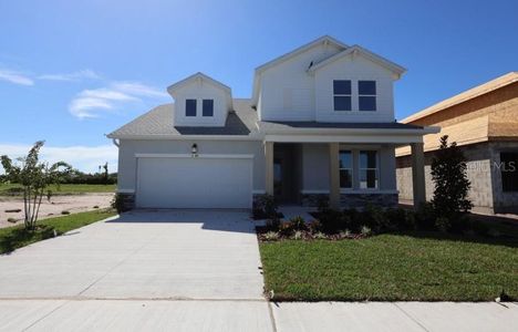 New construction Single-Family house 5169 Sea Branch Ave, Apollo Beach, FL 33572 plan The Collins - image