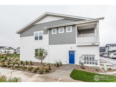 New construction Multi-Family house 2116 Falling Leaf Drive, Unit 8, Windsor, CO 80550 Ford- photo 0