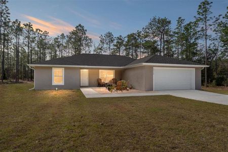 New construction Single-Family house 22160 Sw Neptune Blvd, Dunnellon, FL 34431 - image