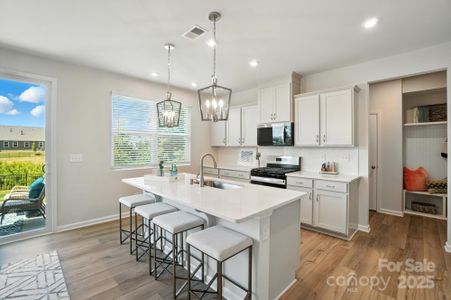 New construction Single-Family house 1217 Roscoe Ct, Monroe, NC 28112 plan Lassen - image 9