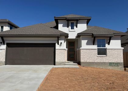 New construction Single-Family house 10725 Worth Ln, Manor, TX 78653 plan Palmetto - image