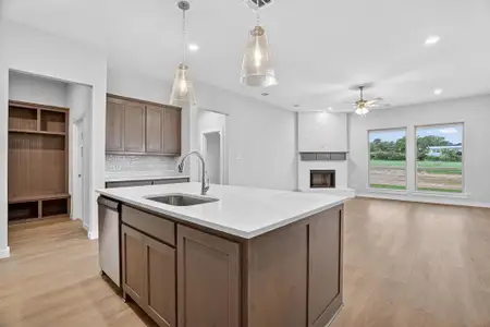 New construction Single-Family house 321 Skeen Peak, Springtown, TX 76082 - image 3