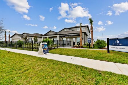 New construction Single-Family house 11855 Hilltop Farms Dr, Dade City, FL 33525 Picasso Bonus- photo 74 74