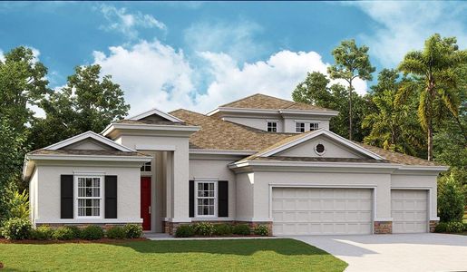 New construction Single-Family house 6233 Hidden Branch Drive, Apollo Beach, FL 33572 Biscayne Grand- photo 0