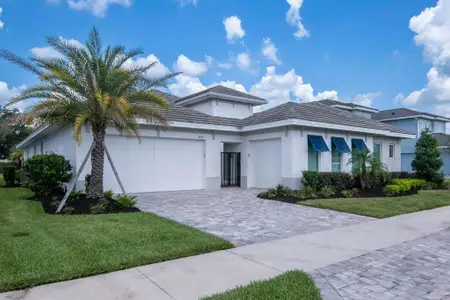 New construction Single-Family house 2639 Yacht Pl, Wesley Chapel, FL 33543 - image