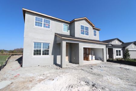 New construction Single-Family house 31223 Denham Ridge Ln, Wesley Chapel, FL 33545 Sonoma II- photo 43 43