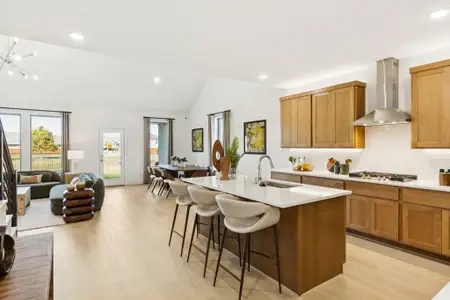 New construction Single-Family house 15036 Elite Dr, Aledo, TX 76008 plan Winters - image 9