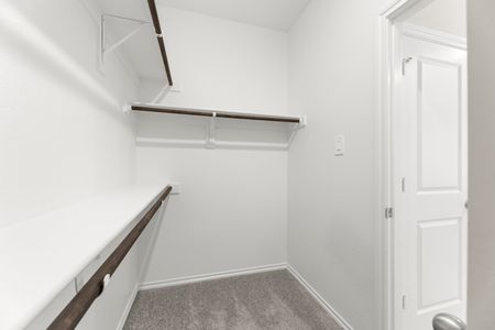 New construction Single-Family house 3695 Desperado Wy, Anna, TX 75409 plan Cottonwood - image 10