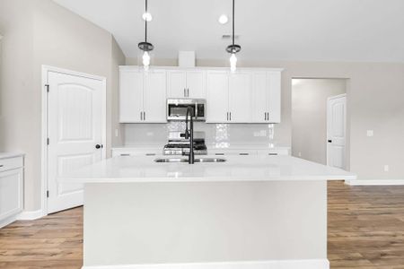 New construction Single-Family house 260 Pretty Run Branch Ln, Wendell, NC 27591 Carver- photo 5 5