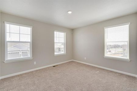 New construction Single-Family house 14100 Black Sedge Cir, Parker, CO 80134 Pendleton - photo 27 27