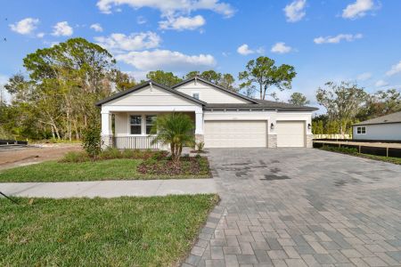 New construction Single-Family house 20219 Oriana Loop, Land O' Lakes, FL 34638 Corina  III- photo 133 133