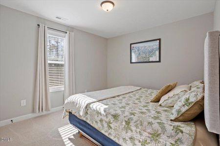 New construction Single-Family house 55 Purple Mist Ln, Zebulon, NC 27597 - image 13