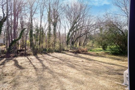 New construction Single-Family house 223 W College St, Oxford, NC 27565 null- photo 25 25