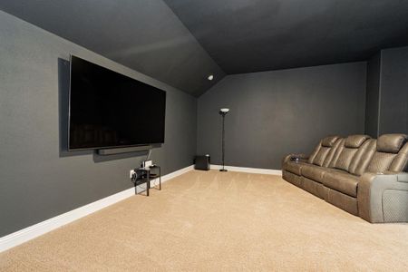 New construction Single-Family house 1725 Frisco Hills Blvd, Little Elm, TX 75068 null- photo 28 28